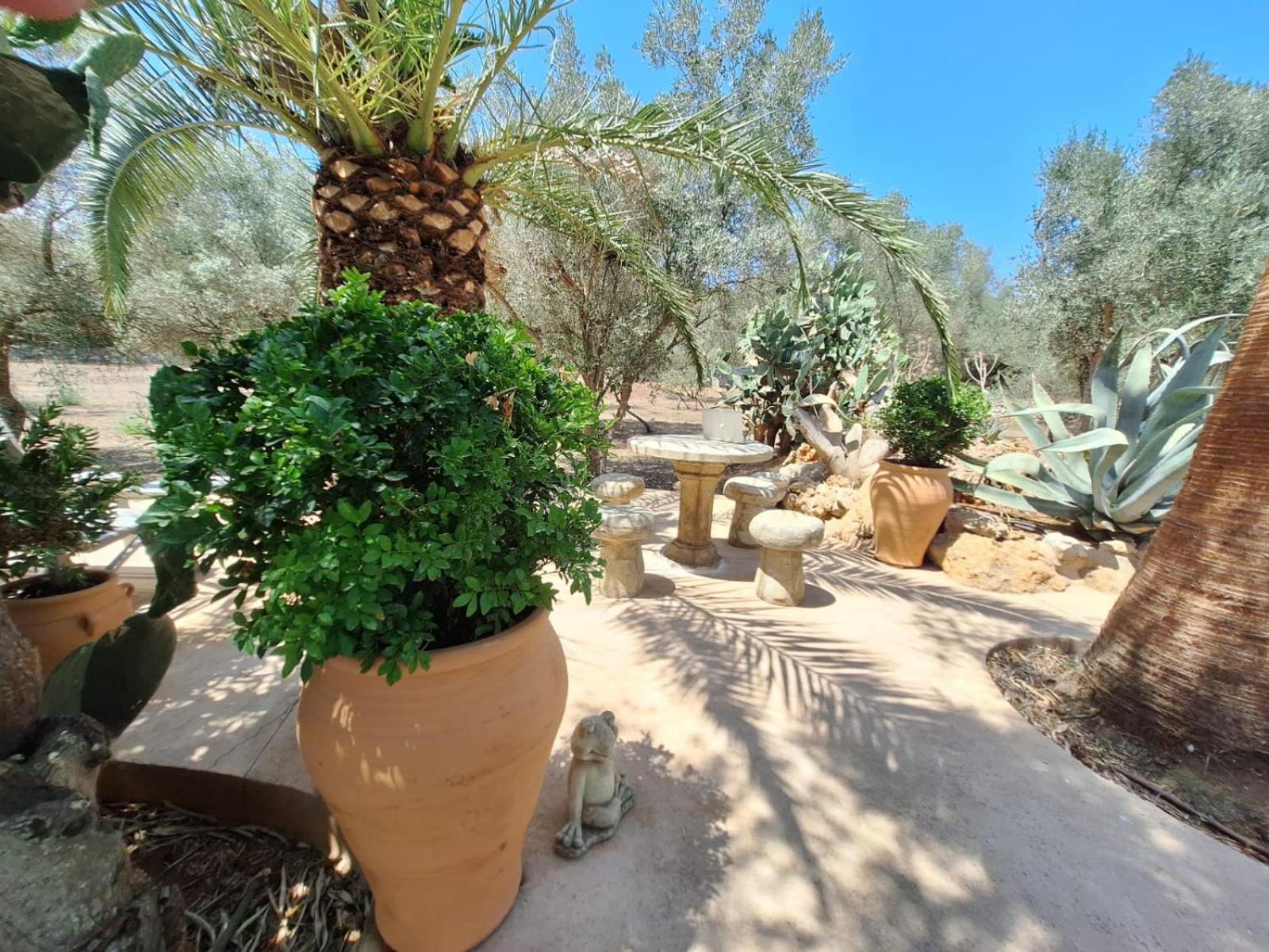 Casa Pina Costitx (Mallorca)