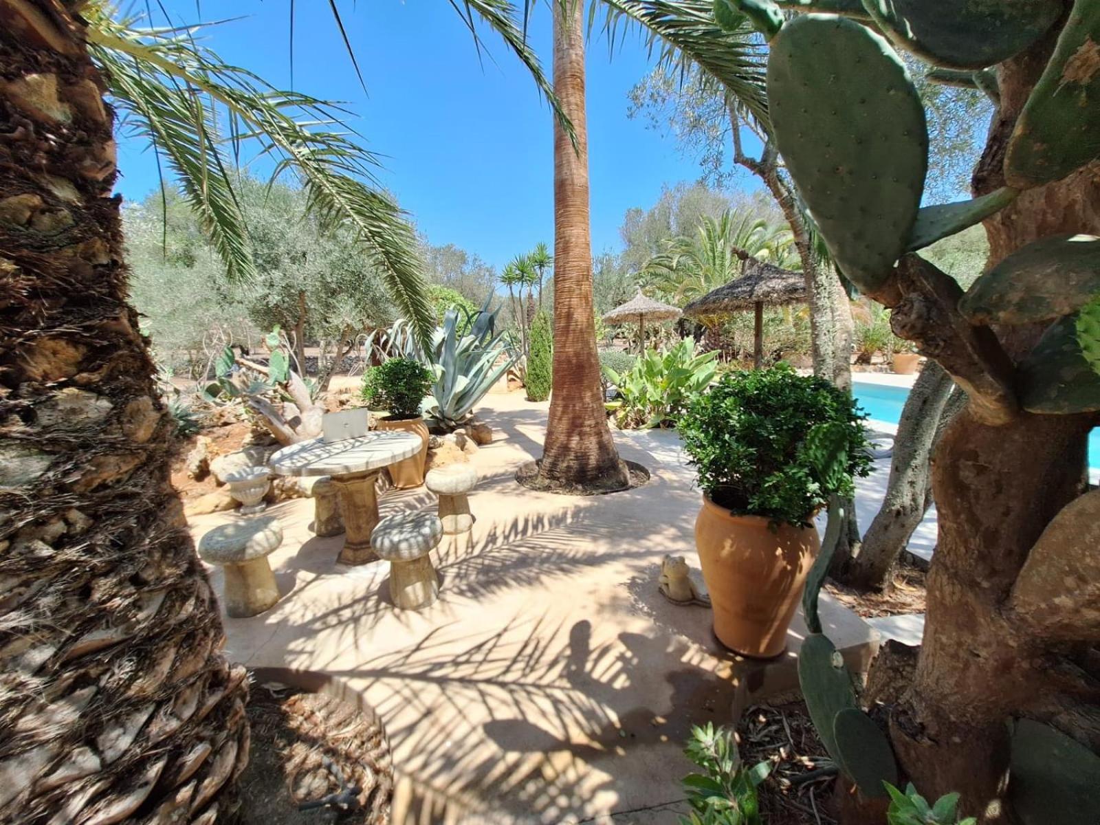 Casa Pina Vakantiehuis Costitx (Mallorca)